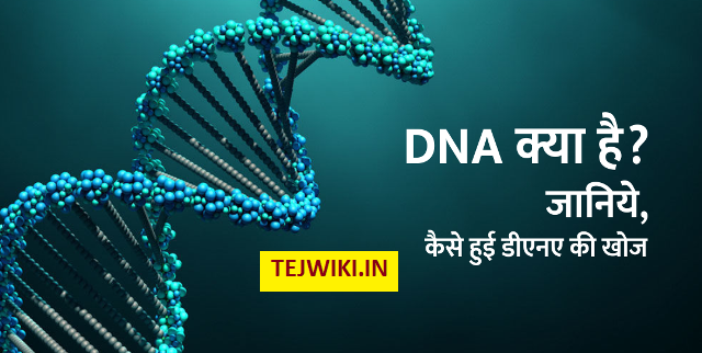 DNA क्या है? (what is dna) डीएनए क्या काम करता है? की जानकारी