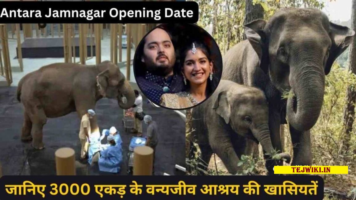 2024 Antara Jamnagar Opening Date - 3000 एकड़ वन्यजीव आश्रय